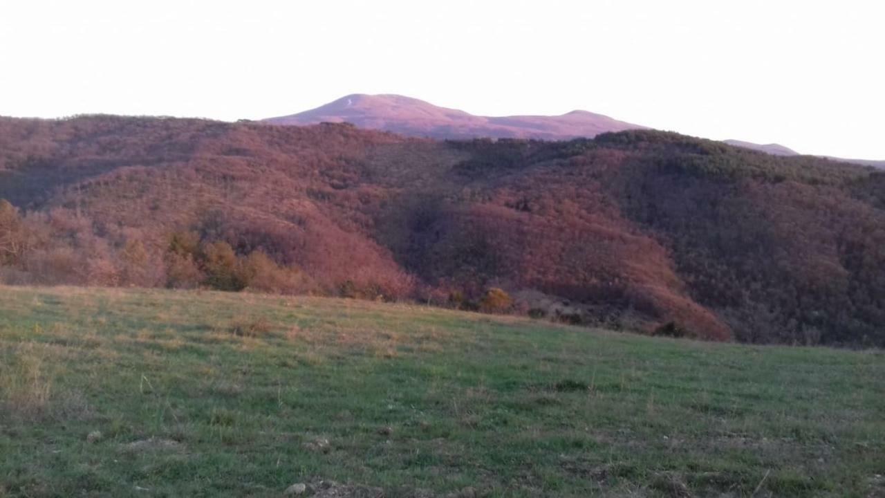 Villa La Casa Del Susino à Castiglione dʼOrcia Extérieur photo
